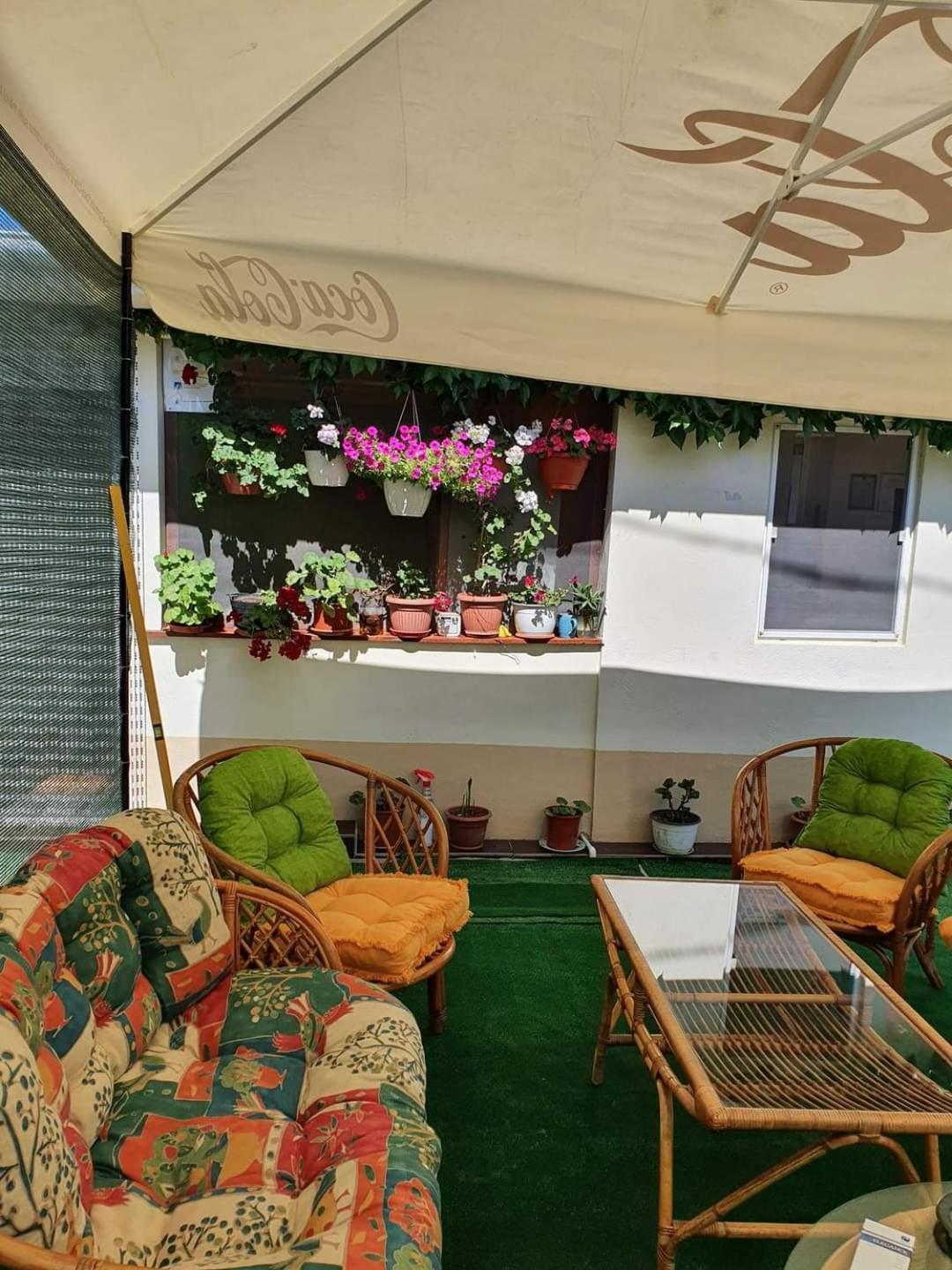 Vila Robert Schitu Exterior foto