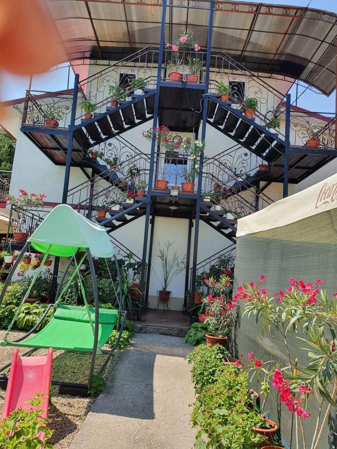 Vila Robert Schitu Exterior foto
