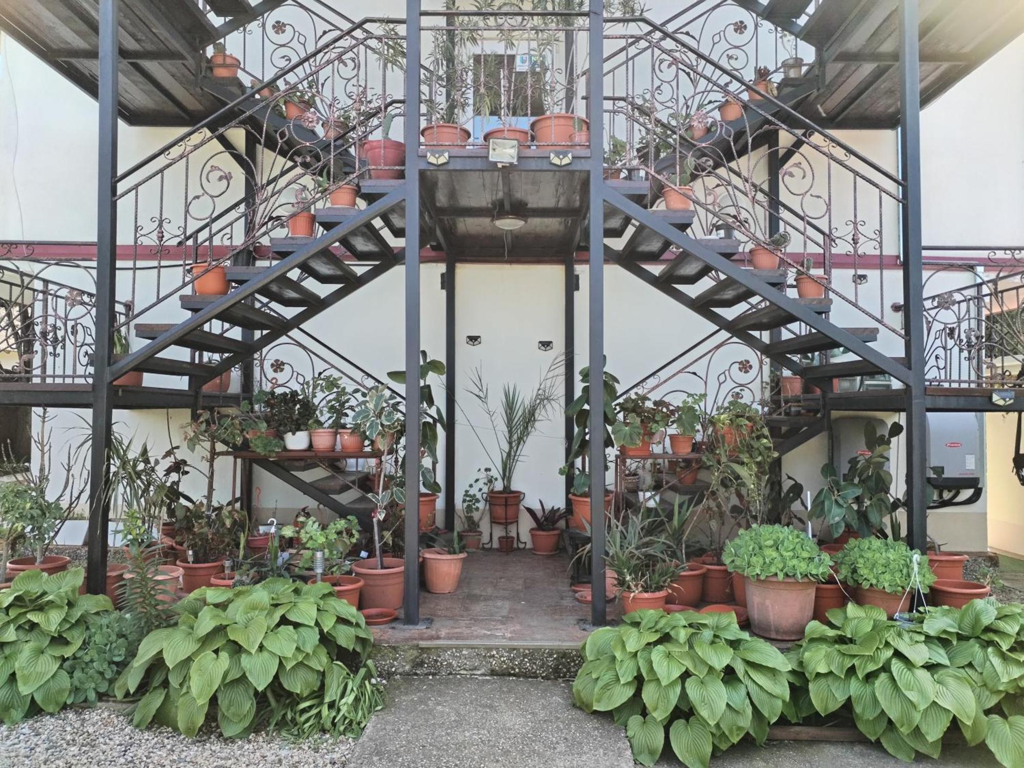 Vila Robert Schitu Exterior foto